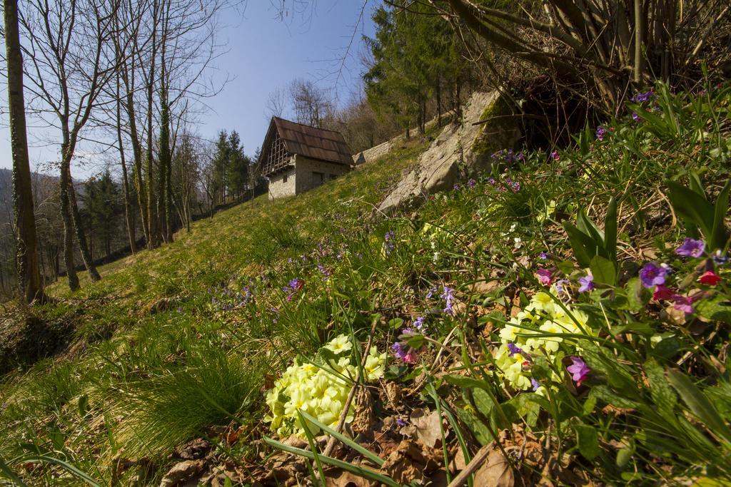 Villa Casa Delle Noci à Grimacco Chambre photo